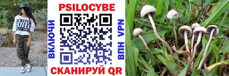 наркота  Енисейск  Псилоцибиновые грибы Cubensis 